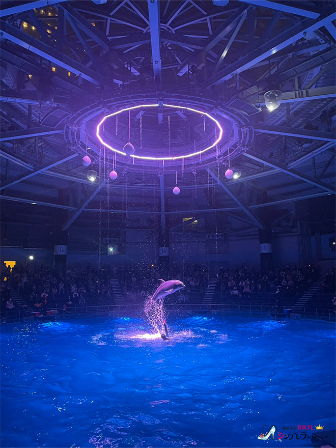 人間は考える葦である